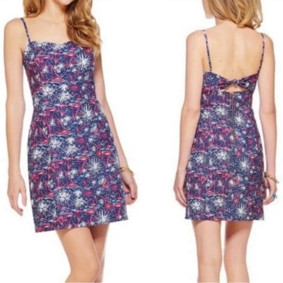 Lilly Pulitzer Dresses & Skirts - Lilly Pulitzer Sparks Fly dress. Fully lined. Zipper back. Adjustable upper tie